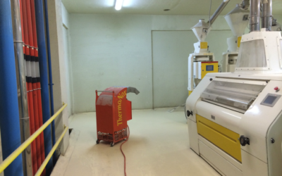 Heat Treatment: Precision Fumigation with Benefits